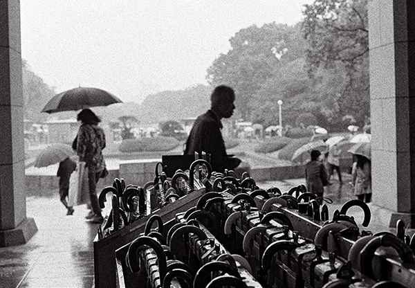 Expo stupeurs et ravissement &agrave; l'ELJ