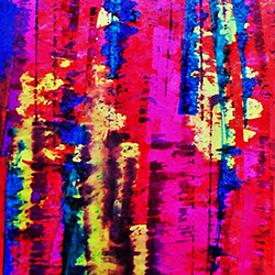 Exposition Sabine SALLIER