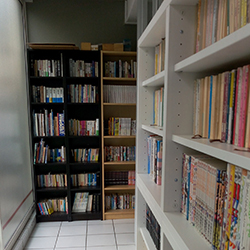 bibliotheque japonaise lyon